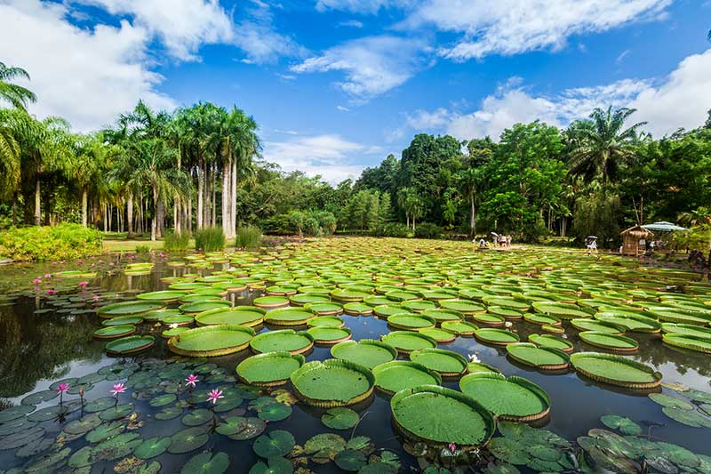 从春城到雨林：昆明出发西双版纳自驾游路线与实用指南