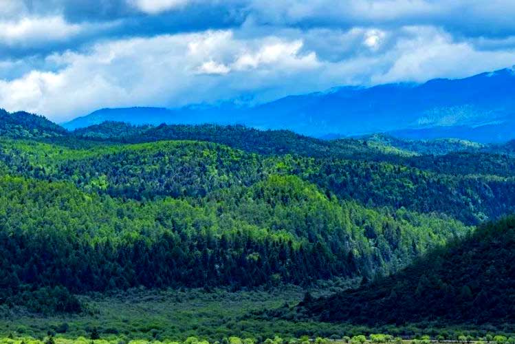 春节云南旅游怎么安排？从行程节奏到防晒细节，一篇讲清楚