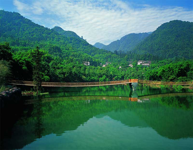 春节去峨眉山值得吗？真实体验告诉你适合谁、不适合谁 🎋❄️