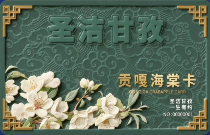 甘孜终身门票政策全解——门票类型、购买方式、使用规则与常见问题汇总