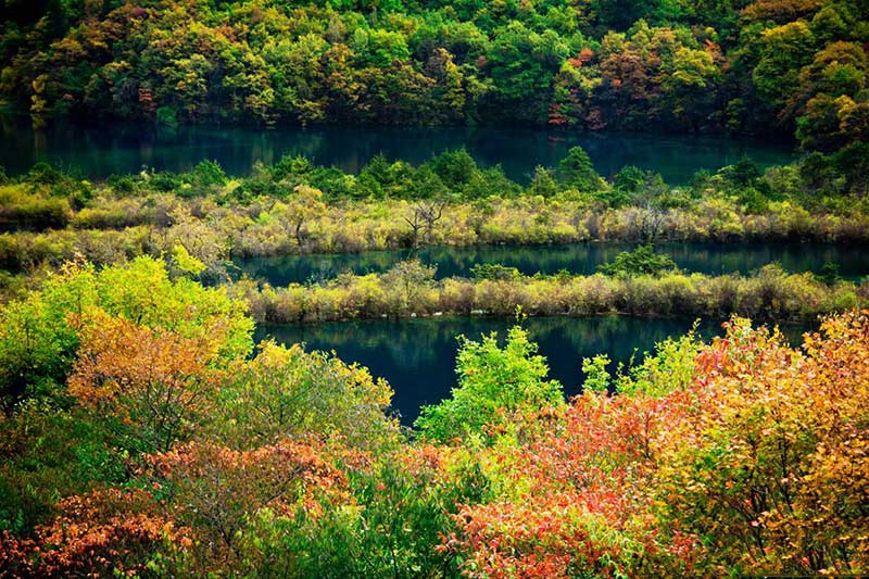 九寨沟适合小孩子玩吗？从安全、体力到体验一次说清