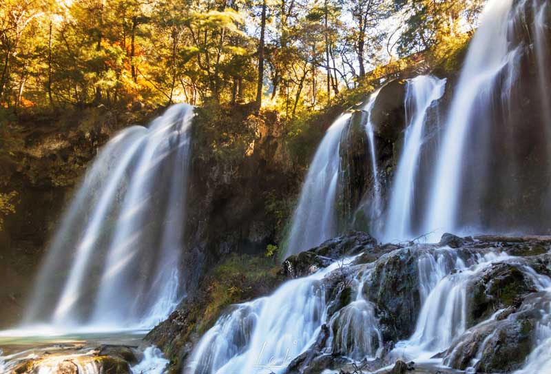 新加坡去中国旅游是否免签？2026最新政策+西藏旅行完整解答（持新加坡护照必看）