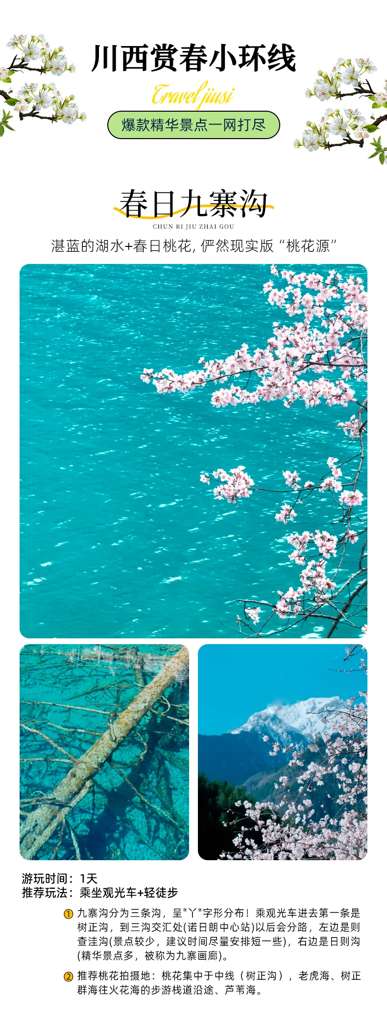 川西春季限定|九寨沟+金川梨花+四姑娘山双桥沟6日小团游(8人纯玩·成都集合) - 四川跟团 - 趣旅行