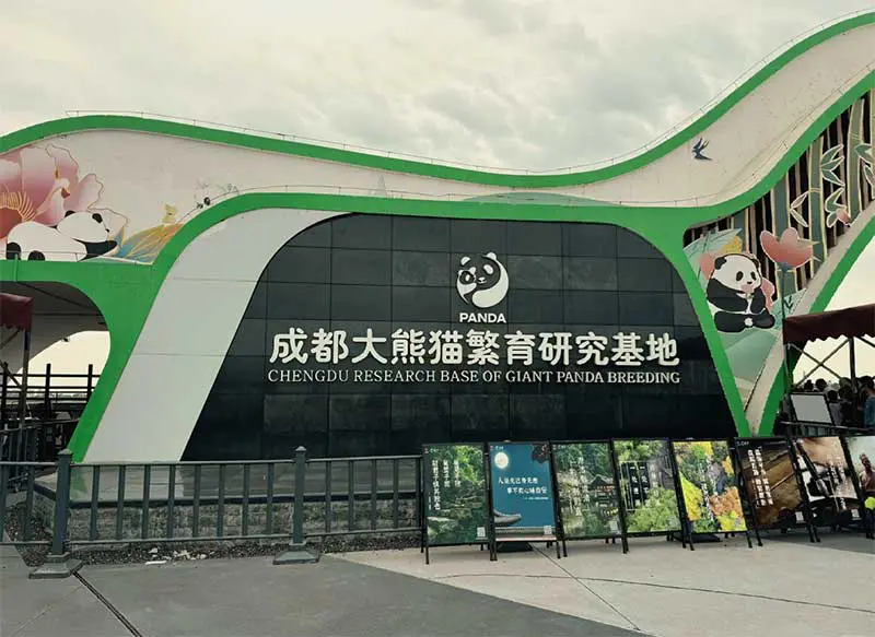 🐼 泰国人去成都看大熊猫攻略2026：门票预约+最佳时间+路线全解析