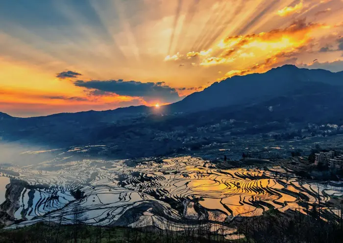 元阳梯田-多依树梯田